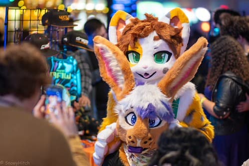 _DSF1284-Enhanced-NR