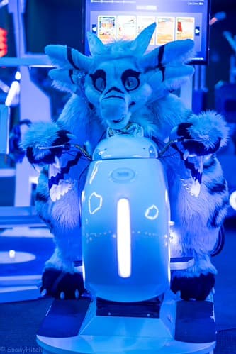 _DSF1272-Enhanced-NR