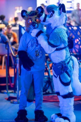 _DSF1259-Enhanced-NR