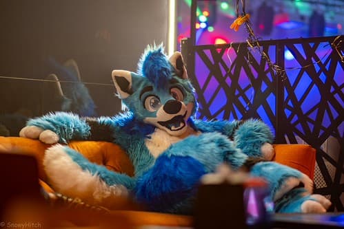 _DSF2413-Enhanced-NR