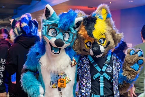 _DSF4013-Enhanced-NR