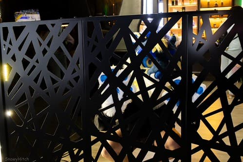 _DSF4078-Enhanced-NR