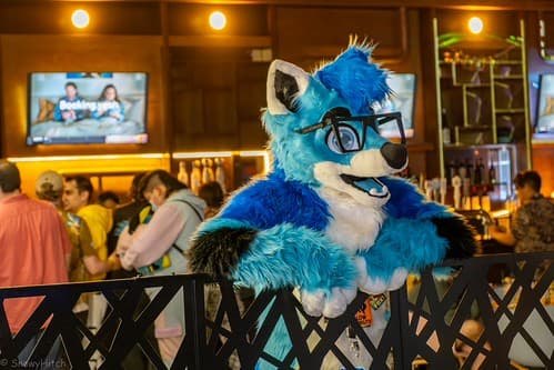 _DSF4069-Enhanced-NR