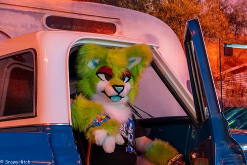 _DSF6531-Enhanced-NR