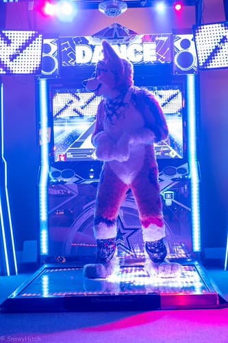 _DSF2133-Enhanced-NR