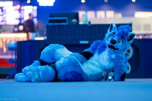 _DSF2354-Enhanced-NR