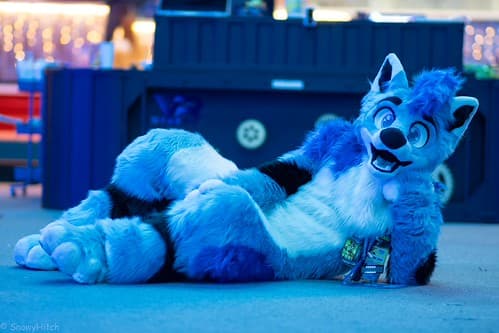 _DSF2353-Enhanced-NR