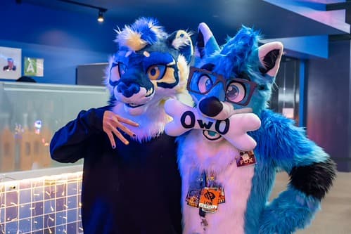 _DSF4017-Enhanced-NR