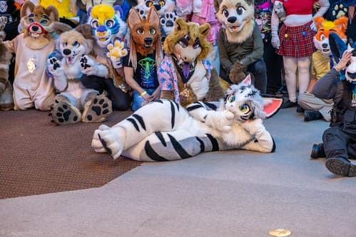 _DSF3995-Enhanced-NR