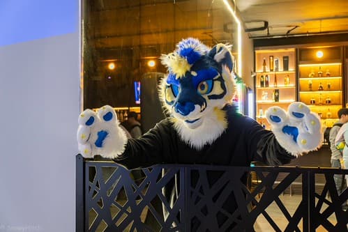 _DSF4077-Enhanced-NR