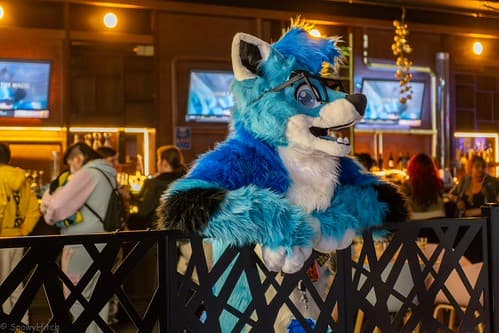 _DSF4064-Enhanced-NR