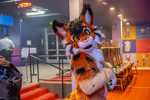 _DSF4031-Enhanced-NR