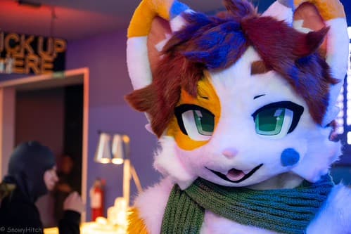 _DSF4024-Enhanced-NR