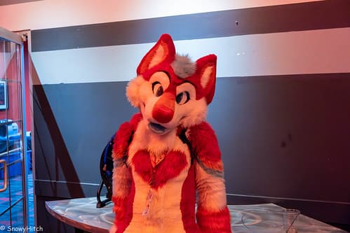 _DSF6533-Enhanced-NR