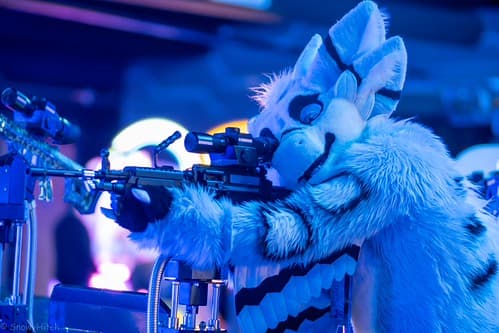 _DSF1195-Enhanced-NR