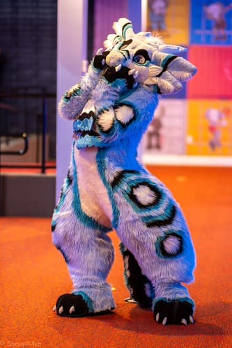 _DSF1182-Enhanced-NR