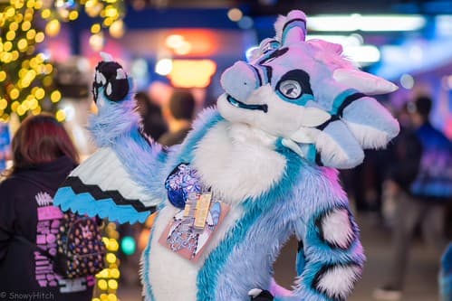 _DSF1162-Enhanced-NR