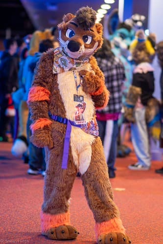 _DSF1477-Enhanced-NR