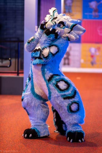 _DSF1183-Enhanced-NR