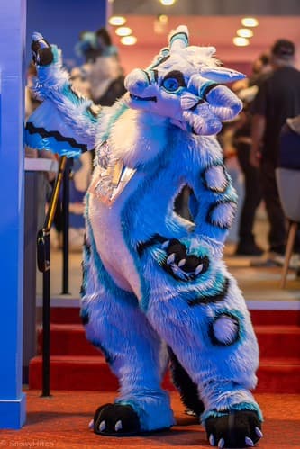 _DSF1176-Enhanced-NR