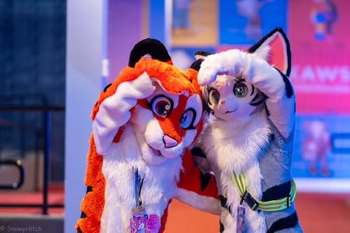 _DSF1432-Enhanced-NR