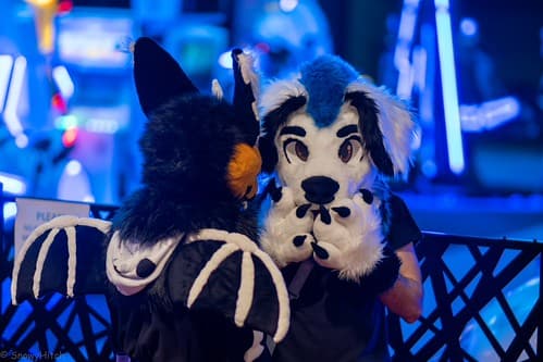 _DSF1376-Enhanced-NR