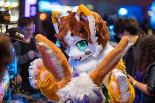 _DSF1274-Enhanced-NR