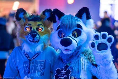 _DSF1246-Enhanced-NR