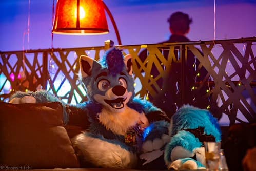 _DSF2366-Enhanced-NR