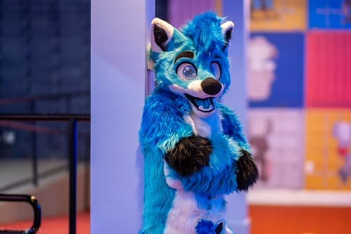 _DSF2326-Enhanced-NR