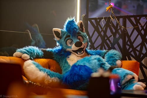 _DSF2438-Enhanced-NR