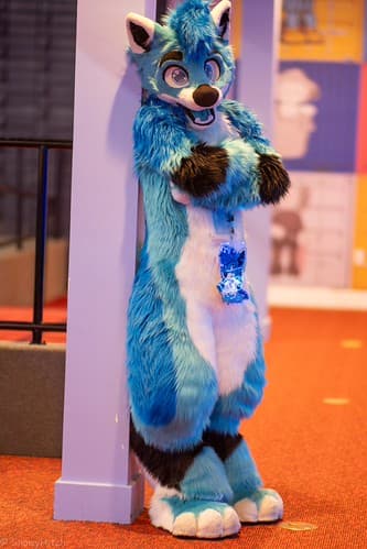 _DSF2344-Enhanced-NR