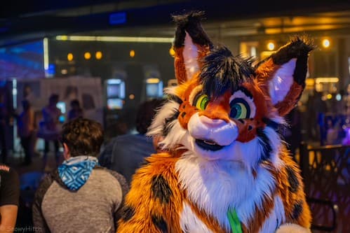 _DSF4037-Enhanced-NR