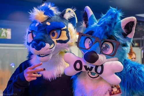 _DSF4014-Enhanced-NR