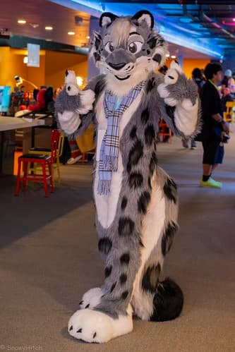 _DSF4012-Enhanced-NR