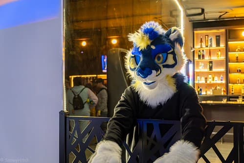 _DSF4076-Enhanced-NR