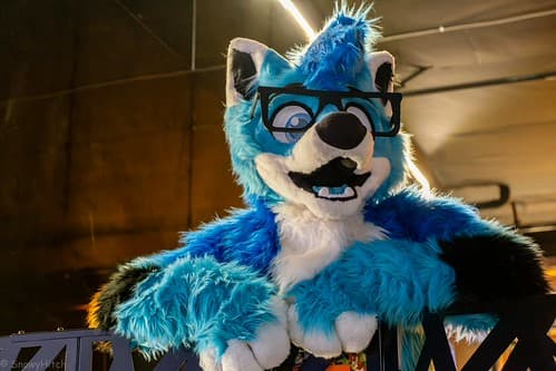 _DSF4073-Enhanced-NR