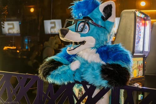 _DSF4048-Enhanced-NR