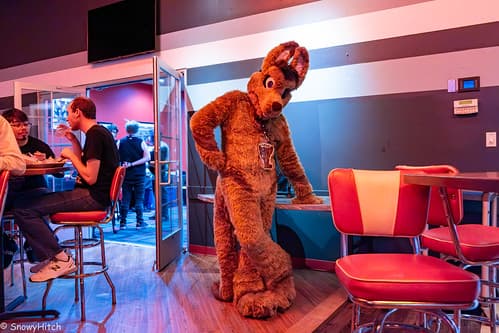 _DSF6537-Enhanced-NR