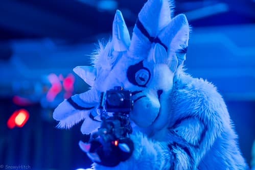 _DSF1211-Enhanced-NR