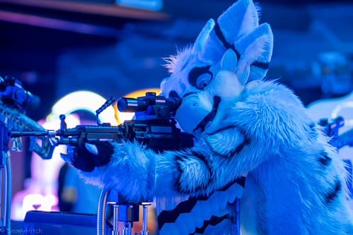 _DSF1206-Enhanced-NR