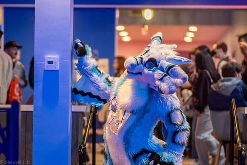 _DSF1179-Enhanced-NR