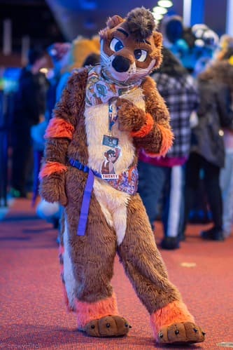 _DSF1491-Enhanced-NR