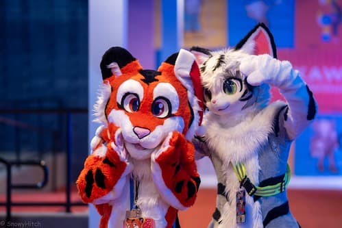 _DSF1426-Enhanced-NR