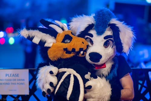 _DSF1387-Enhanced-NR