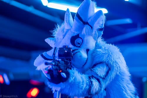 _DSF1217-Enhanced-NR