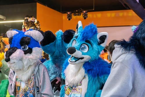 _DSF2161-Enhanced-NR