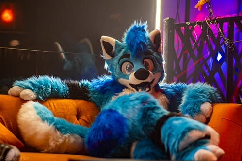 _DSF2403-Enhanced-NR