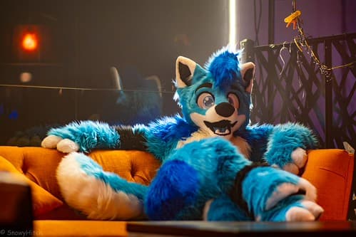 _DSF2397-Enhanced-NR