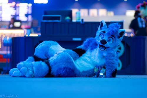 _DSF2361-Enhanced-NR